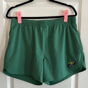 Bonobos Dinosaur 5” Swim Trunks - L